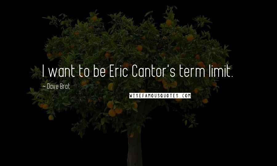 Dave Brat Quotes: I want to be Eric Cantor's term limit.