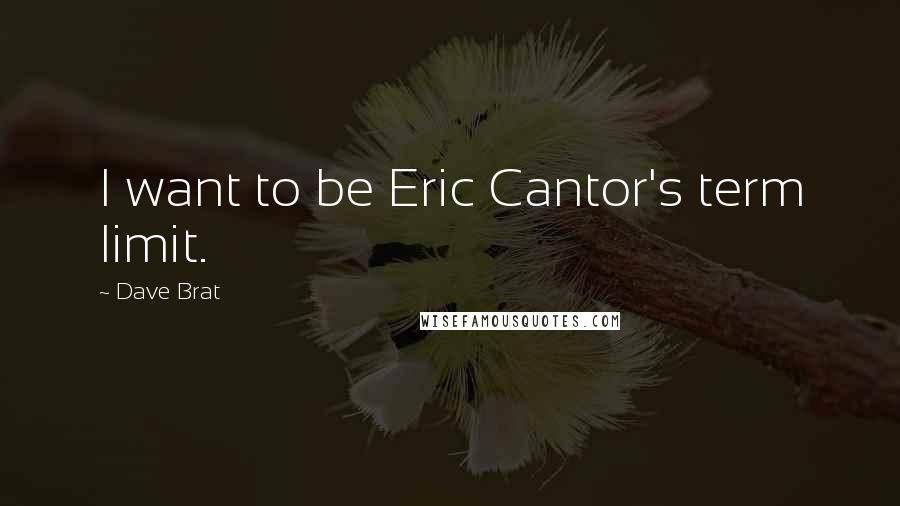 Dave Brat Quotes: I want to be Eric Cantor's term limit.