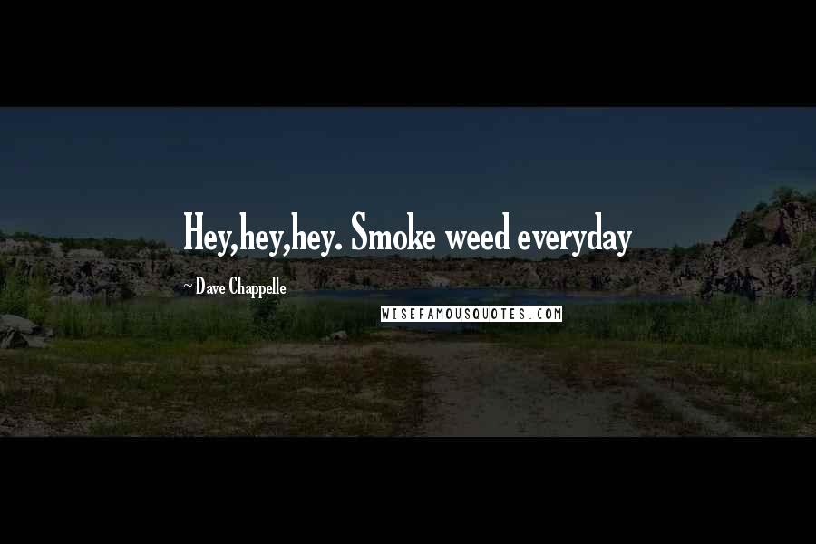 Dave Chappelle Quotes: Hey,hey,hey. Smoke weed everyday