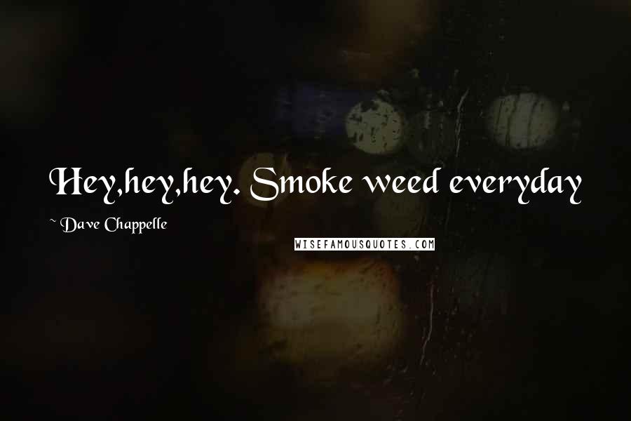 Dave Chappelle Quotes: Hey,hey,hey. Smoke weed everyday