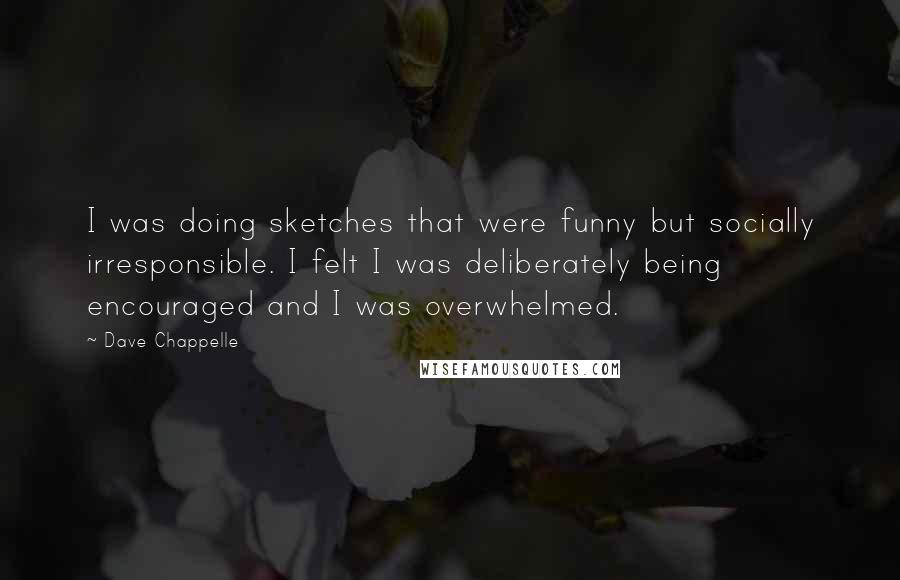 Dave Chappelle Quotes: I was doing sketches that were funny but socially irresponsible. I felt I was deliberately being encouraged and I was overwhelmed.