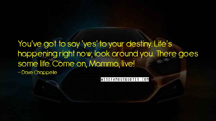 Dave Chappelle Quotes: You've got to say 'yes' to your destiny. Life's happening right now, look around you. There goes some life. Come on, Mamma, live!