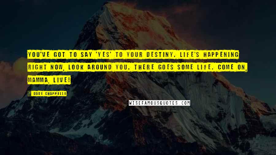 Dave Chappelle Quotes: You've got to say 'yes' to your destiny. Life's happening right now, look around you. There goes some life. Come on, Mamma, live!