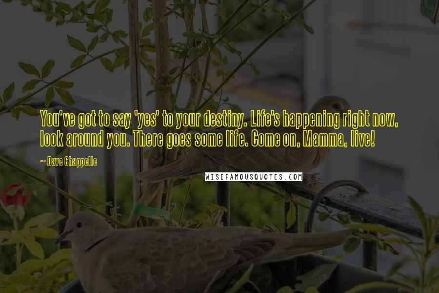 Dave Chappelle Quotes: You've got to say 'yes' to your destiny. Life's happening right now, look around you. There goes some life. Come on, Mamma, live!