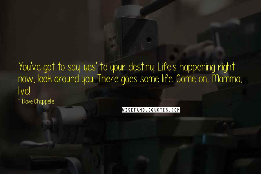 Dave Chappelle Quotes: You've got to say 'yes' to your destiny. Life's happening right now, look around you. There goes some life. Come on, Mamma, live!