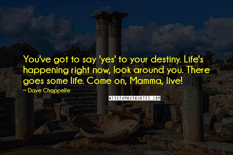 Dave Chappelle Quotes: You've got to say 'yes' to your destiny. Life's happening right now, look around you. There goes some life. Come on, Mamma, live!