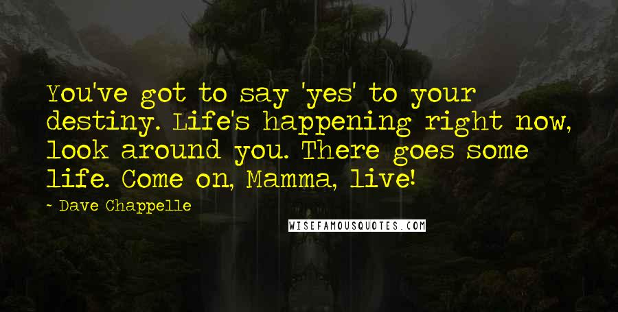 Dave Chappelle Quotes: You've got to say 'yes' to your destiny. Life's happening right now, look around you. There goes some life. Come on, Mamma, live!