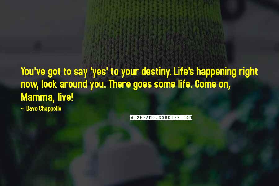 Dave Chappelle Quotes: You've got to say 'yes' to your destiny. Life's happening right now, look around you. There goes some life. Come on, Mamma, live!