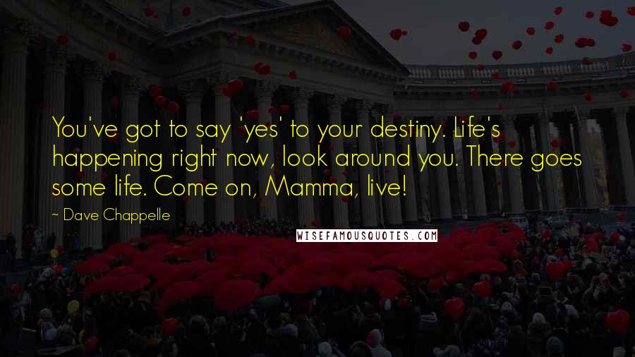 Dave Chappelle Quotes: You've got to say 'yes' to your destiny. Life's happening right now, look around you. There goes some life. Come on, Mamma, live!