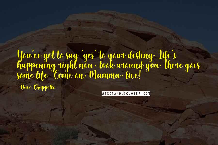 Dave Chappelle Quotes: You've got to say 'yes' to your destiny. Life's happening right now, look around you. There goes some life. Come on, Mamma, live!