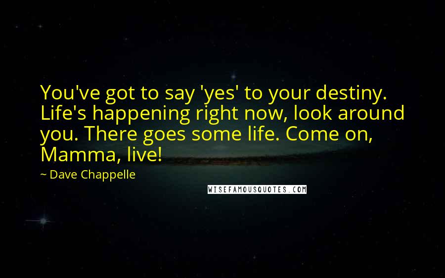 Dave Chappelle Quotes: You've got to say 'yes' to your destiny. Life's happening right now, look around you. There goes some life. Come on, Mamma, live!