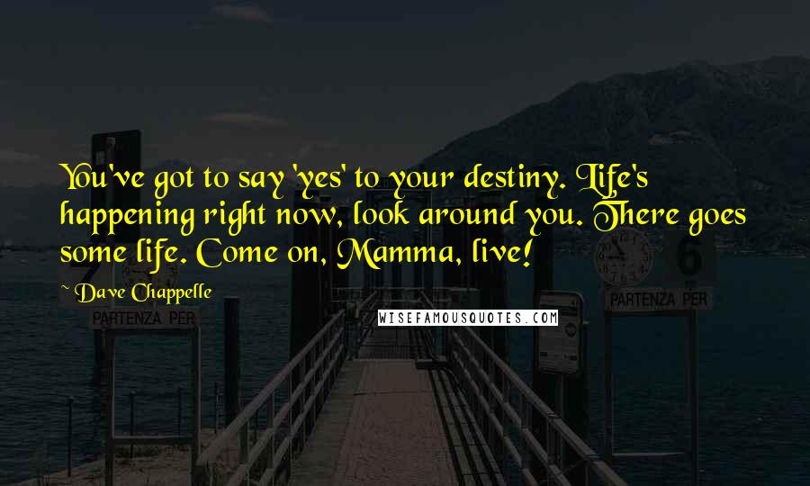 Dave Chappelle Quotes: You've got to say 'yes' to your destiny. Life's happening right now, look around you. There goes some life. Come on, Mamma, live!