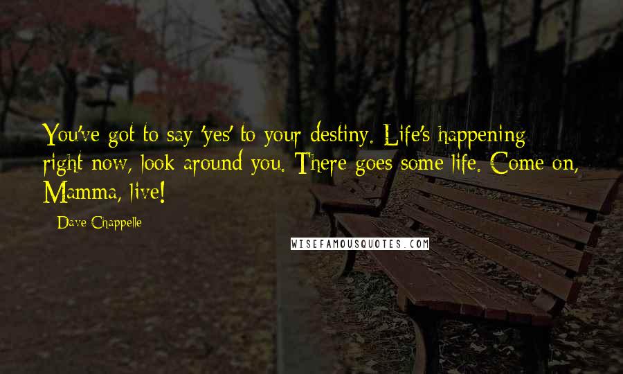 Dave Chappelle Quotes: You've got to say 'yes' to your destiny. Life's happening right now, look around you. There goes some life. Come on, Mamma, live!