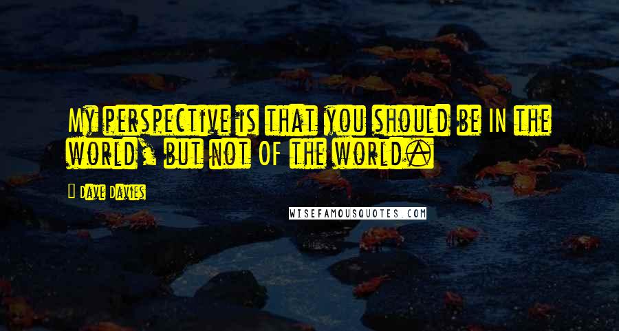 Dave Davies Quotes: My perspective is that you should be IN the world, but not OF the world.