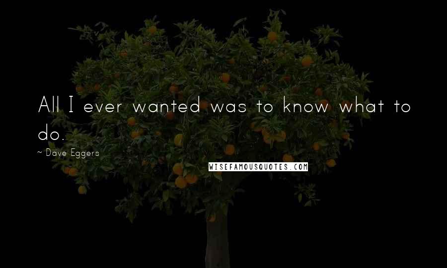 Dave Eggers Quotes: All I ever wanted was to know what to do.