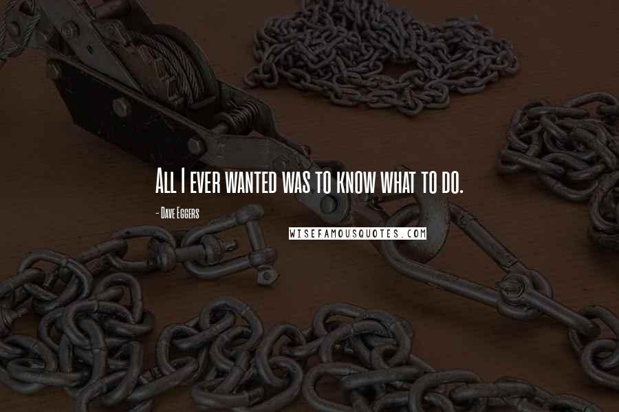 Dave Eggers Quotes: All I ever wanted was to know what to do.