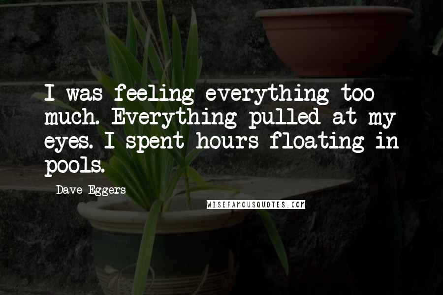 Dave Eggers Quotes: I was feeling everything too much. Everything pulled at my eyes. I spent hours floating in pools.