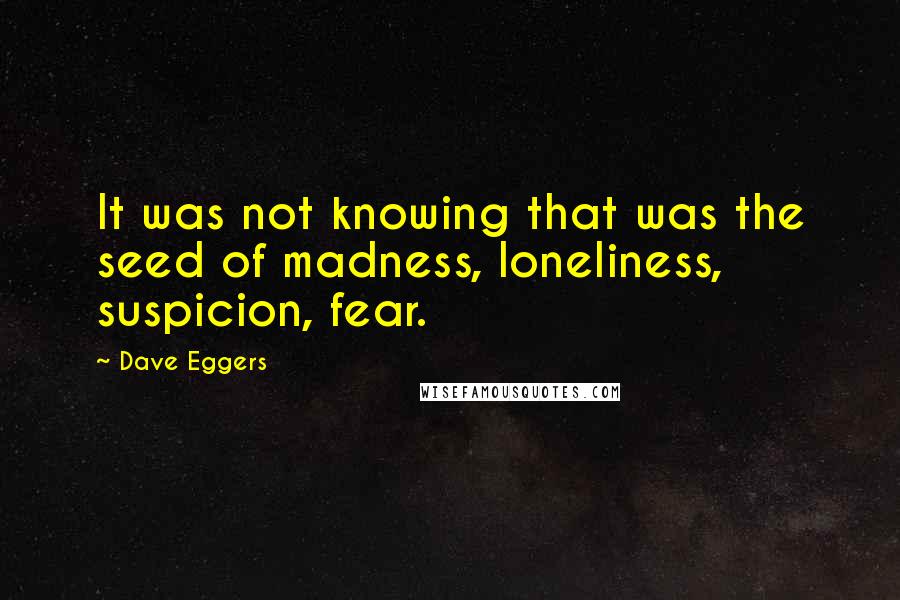 Dave Eggers Quotes: It was not knowing that was the seed of madness, loneliness, suspicion, fear.