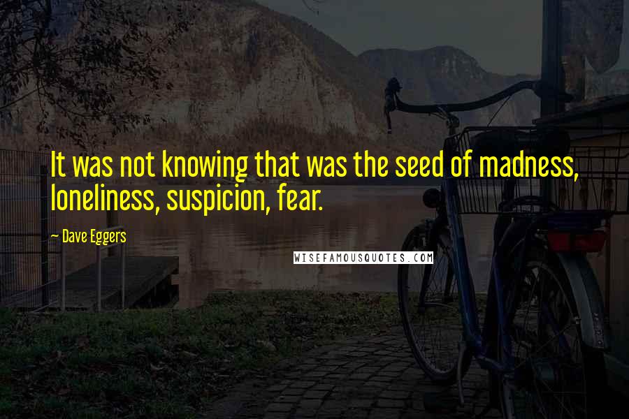 Dave Eggers Quotes: It was not knowing that was the seed of madness, loneliness, suspicion, fear.