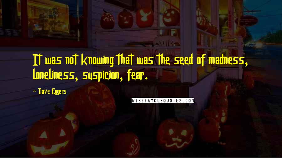 Dave Eggers Quotes: It was not knowing that was the seed of madness, loneliness, suspicion, fear.