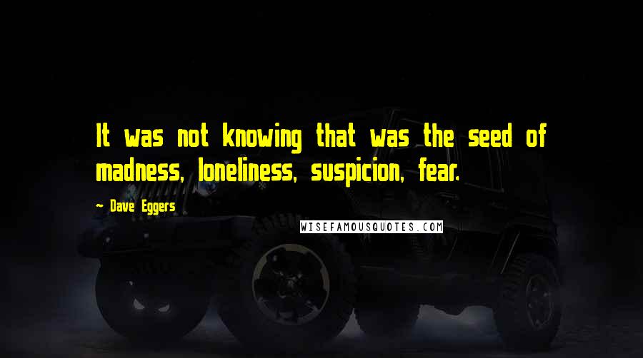 Dave Eggers Quotes: It was not knowing that was the seed of madness, loneliness, suspicion, fear.