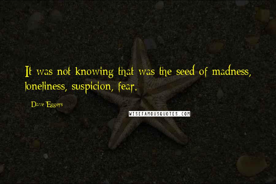 Dave Eggers Quotes: It was not knowing that was the seed of madness, loneliness, suspicion, fear.