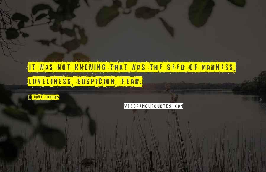 Dave Eggers Quotes: It was not knowing that was the seed of madness, loneliness, suspicion, fear.
