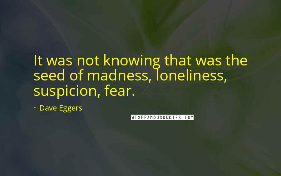 Dave Eggers Quotes: It was not knowing that was the seed of madness, loneliness, suspicion, fear.