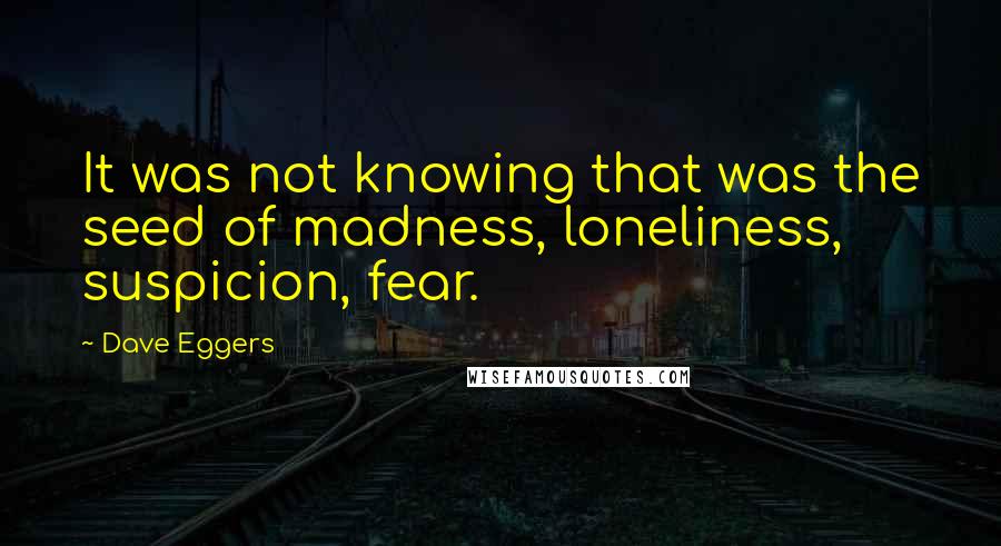 Dave Eggers Quotes: It was not knowing that was the seed of madness, loneliness, suspicion, fear.
