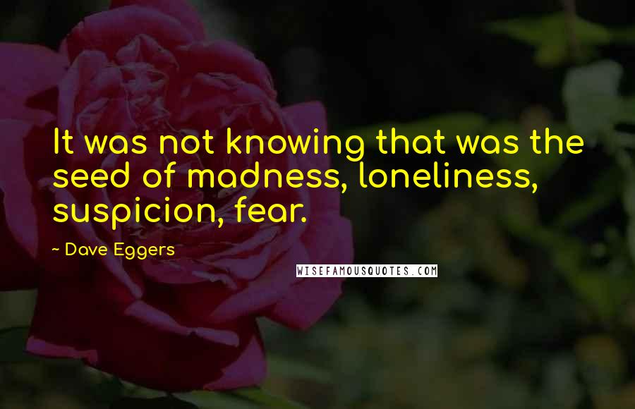 Dave Eggers Quotes: It was not knowing that was the seed of madness, loneliness, suspicion, fear.