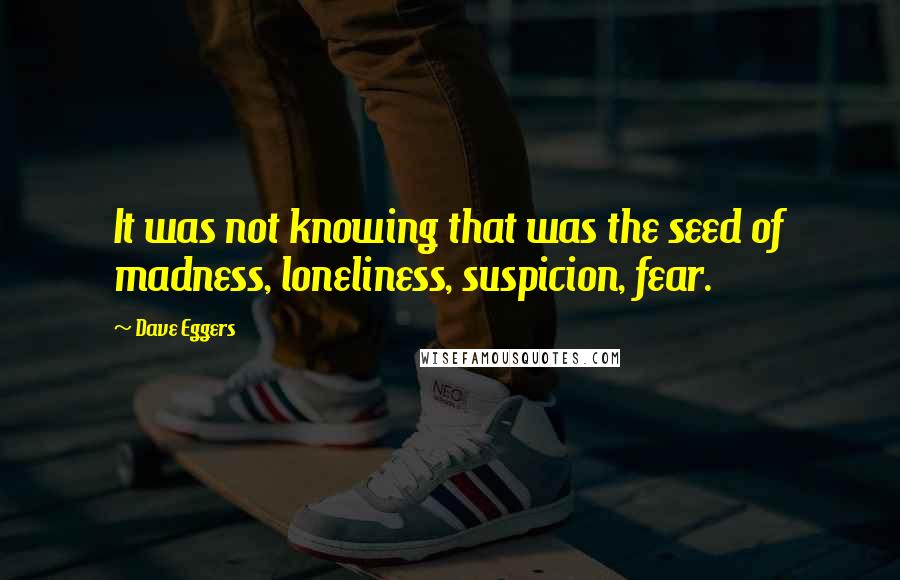 Dave Eggers Quotes: It was not knowing that was the seed of madness, loneliness, suspicion, fear.