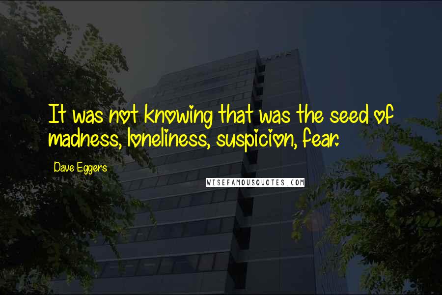 Dave Eggers Quotes: It was not knowing that was the seed of madness, loneliness, suspicion, fear.