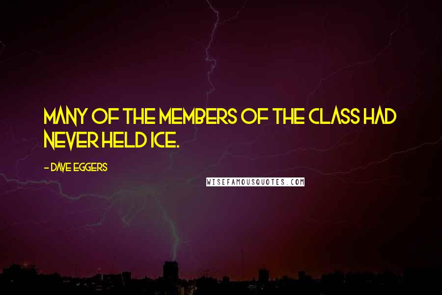 Dave Eggers Quotes: Many of the members of the class had never held ice.