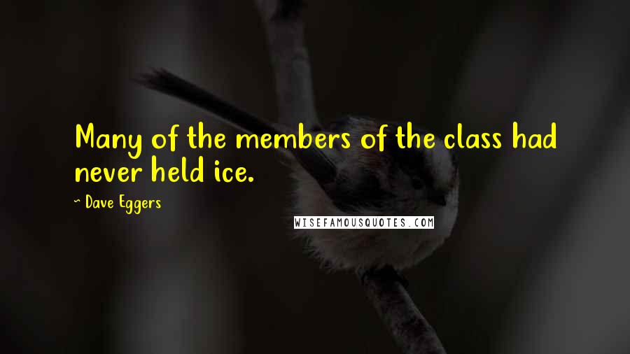 Dave Eggers Quotes: Many of the members of the class had never held ice.