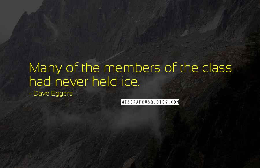Dave Eggers Quotes: Many of the members of the class had never held ice.
