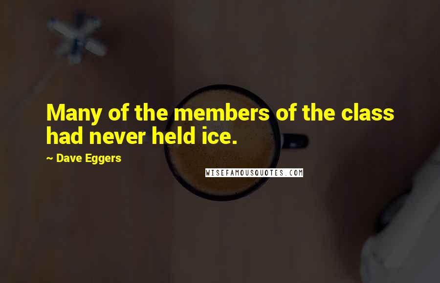 Dave Eggers Quotes: Many of the members of the class had never held ice.