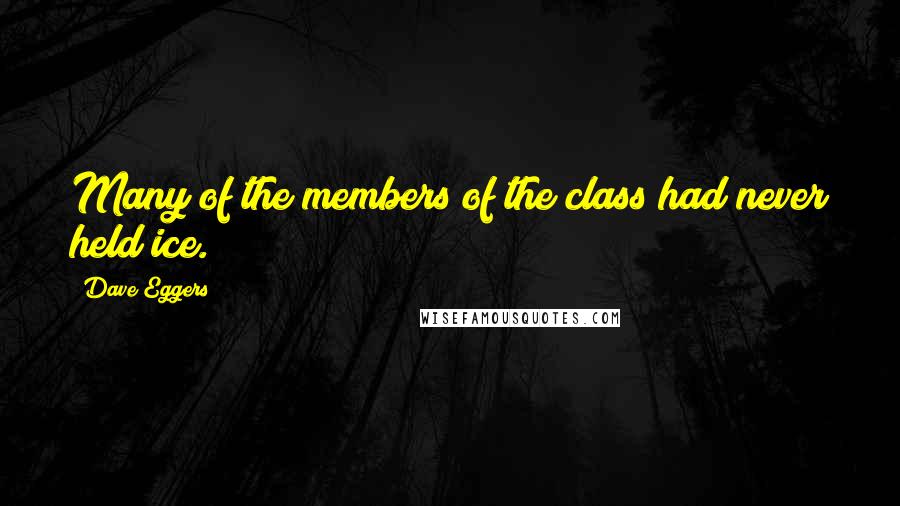 Dave Eggers Quotes: Many of the members of the class had never held ice.