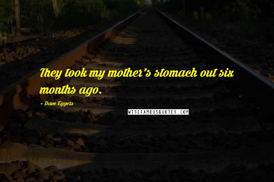 Dave Eggers Quotes: They took my mother's stomach out six months ago.