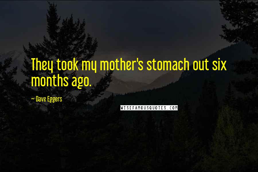 Dave Eggers Quotes: They took my mother's stomach out six months ago.