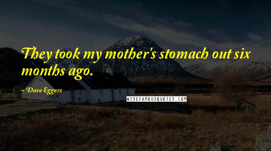 Dave Eggers Quotes: They took my mother's stomach out six months ago.