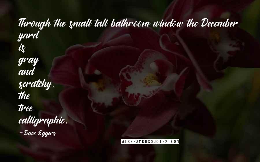 Dave Eggers Quotes: Through the small tall bathroom window the December yard is gray and scratchy, the tree calligraphic.