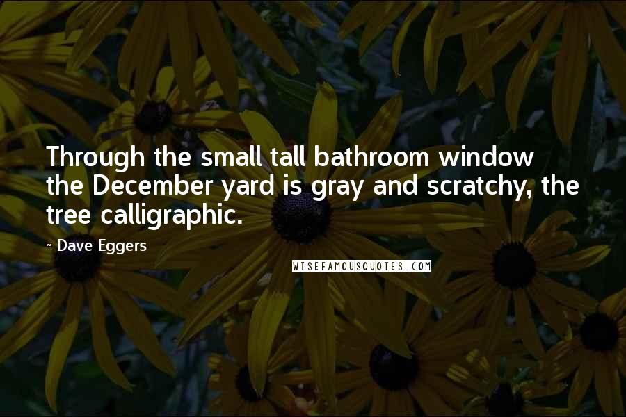 Dave Eggers Quotes: Through the small tall bathroom window the December yard is gray and scratchy, the tree calligraphic.