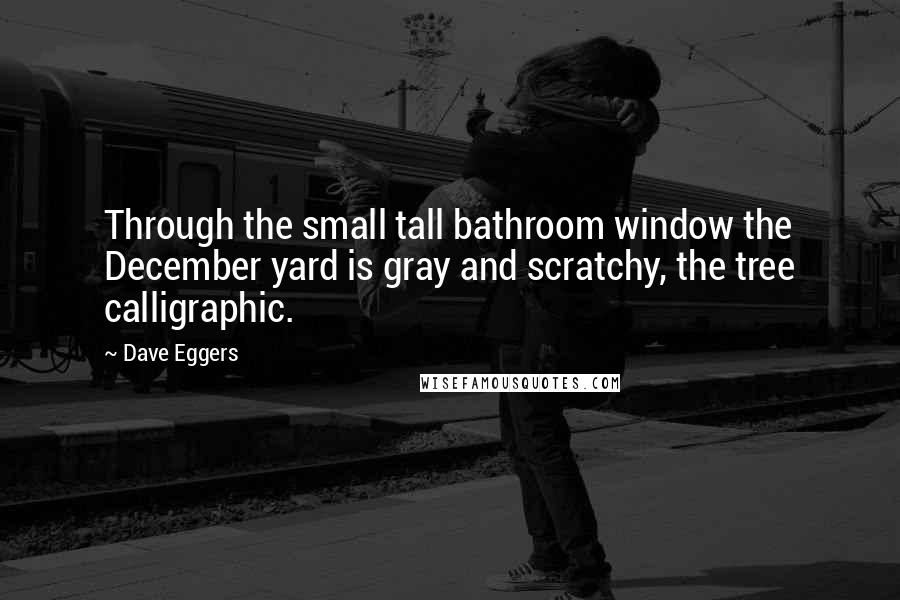 Dave Eggers Quotes: Through the small tall bathroom window the December yard is gray and scratchy, the tree calligraphic.