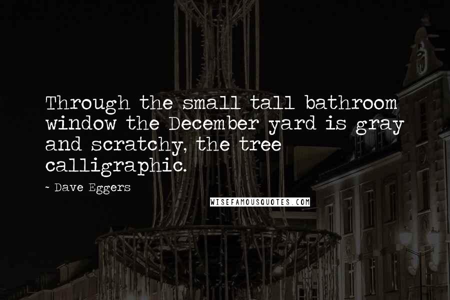 Dave Eggers Quotes: Through the small tall bathroom window the December yard is gray and scratchy, the tree calligraphic.