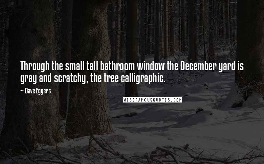 Dave Eggers Quotes: Through the small tall bathroom window the December yard is gray and scratchy, the tree calligraphic.