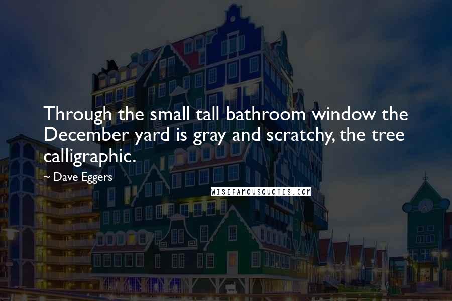 Dave Eggers Quotes: Through the small tall bathroom window the December yard is gray and scratchy, the tree calligraphic.