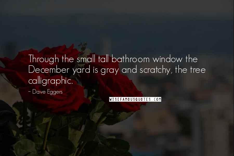 Dave Eggers Quotes: Through the small tall bathroom window the December yard is gray and scratchy, the tree calligraphic.