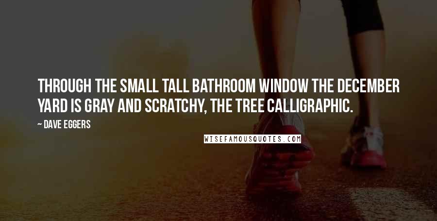 Dave Eggers Quotes: Through the small tall bathroom window the December yard is gray and scratchy, the tree calligraphic.