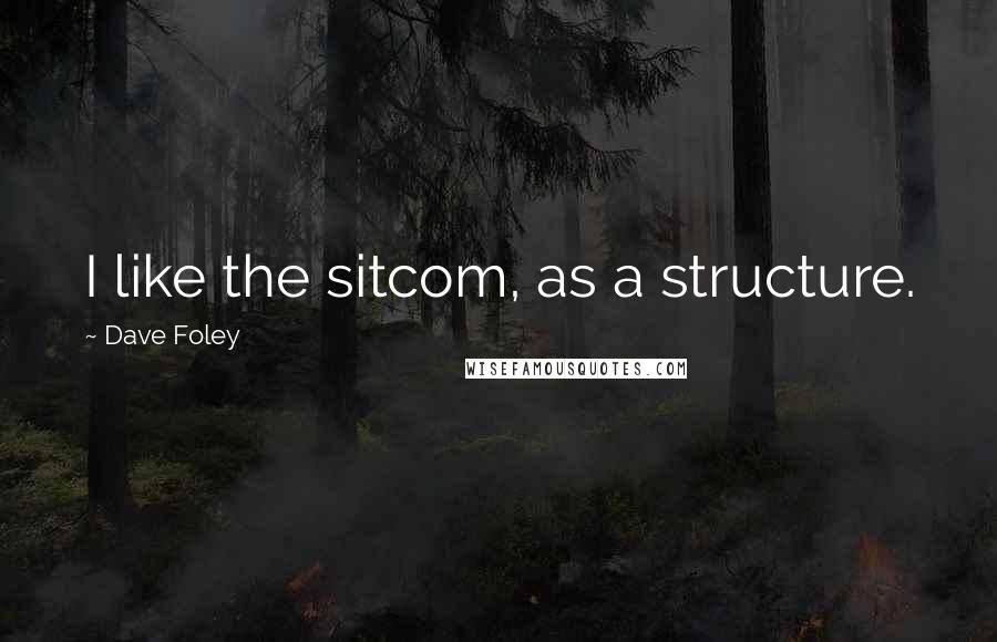 Dave Foley Quotes: I like the sitcom, as a structure.