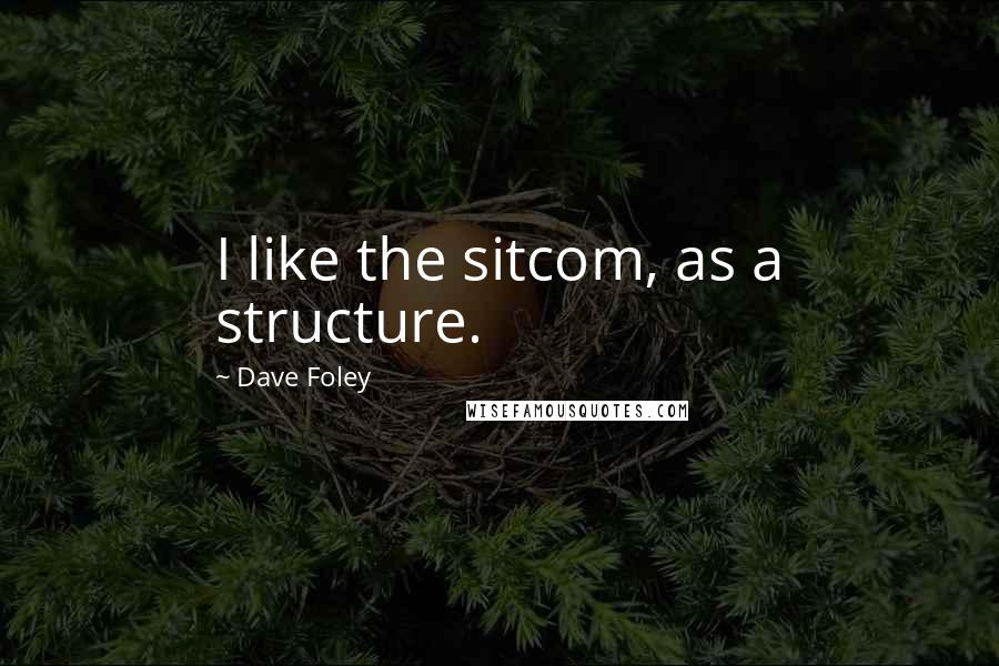 Dave Foley Quotes: I like the sitcom, as a structure.